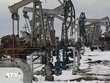   2010      ,   ,       2009  ,      