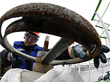 -   Urals Energy  "" ,    - -