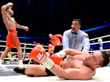c                  IBF, WBA, WB  IBO   