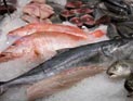 Эксперты: потребление рыбы в России за год снизится на треть Эксперты: потребление рыбы в России за год снизится на треть