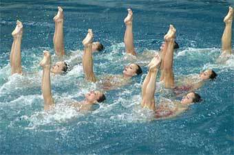 ����������� ������������ �� ���������� ������ 2004 ����. ���� �� "�������"