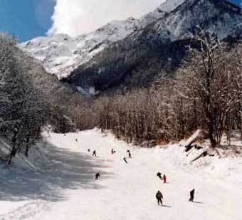 ������ ������� ������. ���� � ����� sochi.ru