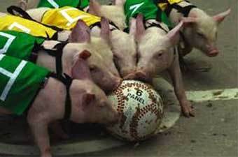 �������� ���� ����� ������ � ������. ���� � ����� ������� "������ �����������"