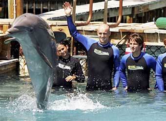 ���� ������� (� �������� �����) �� �������� ����� ����� � ��������. ���� AFP