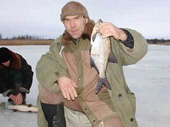 ������� ������ ��� �����. ���� box-way.ru