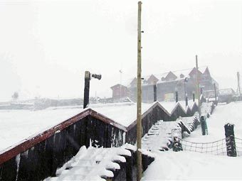 2 ������� 2006 ����. ����� ������. ���� AFP