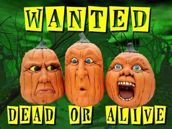 ��� ��� ������, ��� ������, ��� �� �����, "���� ����" ������ � �������-����. � ����� webshots.com