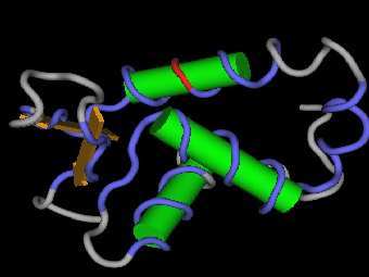 ������� �������� ����� ��������� ������� � FOXP2, ������� �������� ������� ������� ������������. ����������� � ����� ox.ac.uk. 