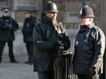 ���������� �����������. ���� AFP