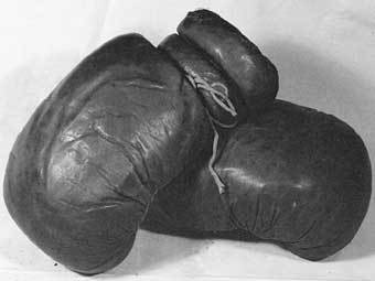 ���������� �������� � ����� punchstock.com