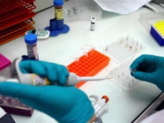 �������������� �����������. ���� &copy;AFP