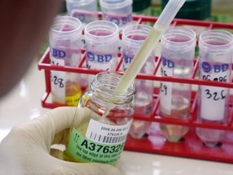 �������������� �����������.  ���� &copy;AFP