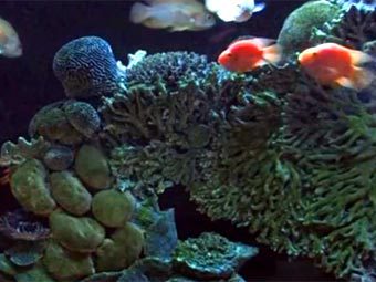 ��������� ��� � ����� ������ ������ �������