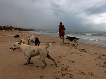  .  Reuters