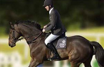 ������ ������� �� ������ ���������. ���� ����� equippos.com